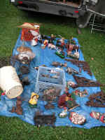 pict3902.jpg (104532 bytes)