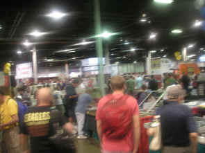 pict0466.jpg (154539 bytes)