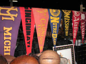 pict0087.jpg (195518 bytes)