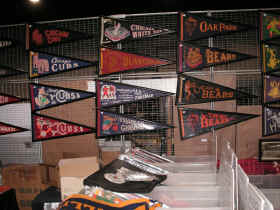 pict0100.jpg (226216 bytes)