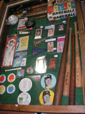 pict0350.jpg (181012 bytes)