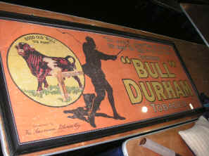 pict0002.jpg (269098 bytes)