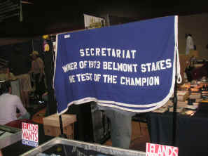 pict0504.jpg (263961 bytes)