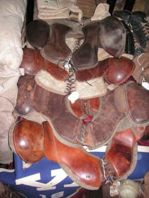 PICT0586 - Copy (Copy).JPG (440712 bytes)