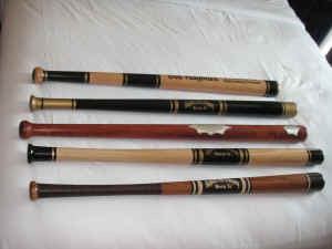 PICT0052 (Copy).JPG (101156 bytes)