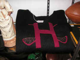 pict0303 (copy).jpg (107501 bytes)