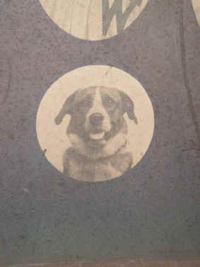 pict6736.jpg (145930 bytes)