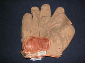 pict6742.jpg (231504 bytes)