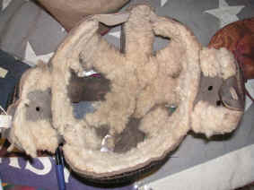 pict6756.jpg (220718 bytes)