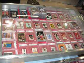 pict6816.jpg (233875 bytes)