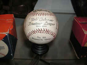 pict6901.jpg (168315 bytes)