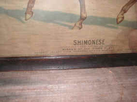 pict6927.jpg (214627 bytes)