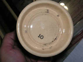 pict7139.jpg (154375 bytes)