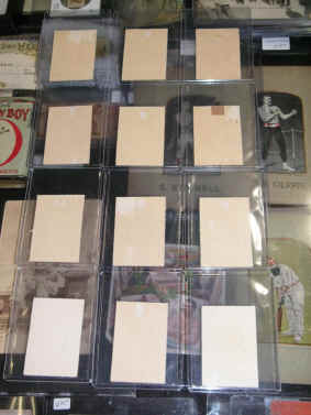 pict7195.jpg (243101 bytes)