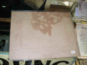 pict7335.jpg (148790 bytes)