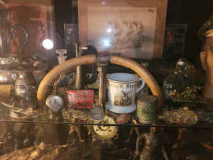 in lineup full.jpg (210274 bytes)