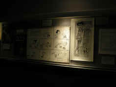 PICT0071_1200x900.jpg (129146 bytes)