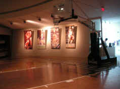 PICT0103_1200x900.jpg (144325 bytes)