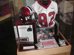 PICT1341_1200x900.jpg (197311 bytes)