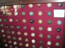 PICT1396_1200x900.jpg (190717 bytes)