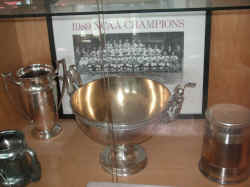 PICT1416_1200x900.jpg (179907 bytes)