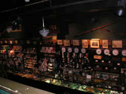 PICT1555_1200x900.jpg (169759 bytes)