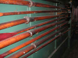 PICT1559_1200x900.jpg (196045 bytes)