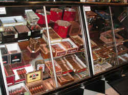 PICT1575_1200x900.jpg (264471 bytes)