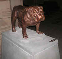 PICT1636_1200x900.jpg (176088 bytes)