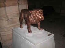 PICT1636_1200x900.jpg (176088 bytes)