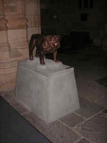 PICT1637_900x1200.jpg (131777 bytes)