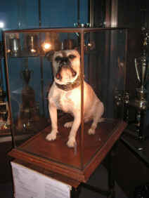 PICT1816_900x1200.jpg (151917 bytes)