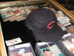 PICT2049_1200x900.jpg (217538 bytes)