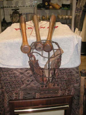 PICT2428_900x1200.jpg (214197 bytes)