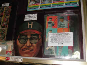 PICT2462_1200x900.jpg (210212 bytes)