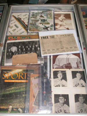 PICT2510_900x1200.jpg (197135 bytes)