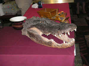 PICT4420_1200x900.jpg (197016 bytes)