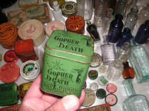 PICT4430_1200x900.jpg (218951 bytes)