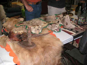 PICT4440_1200x900.jpg (210597 bytes)