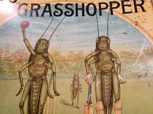 frank bryans grasshopper cricket goods (6).jpg (461922 bytes)