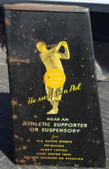 Pal JS Display (5).jpg (502197 bytes)