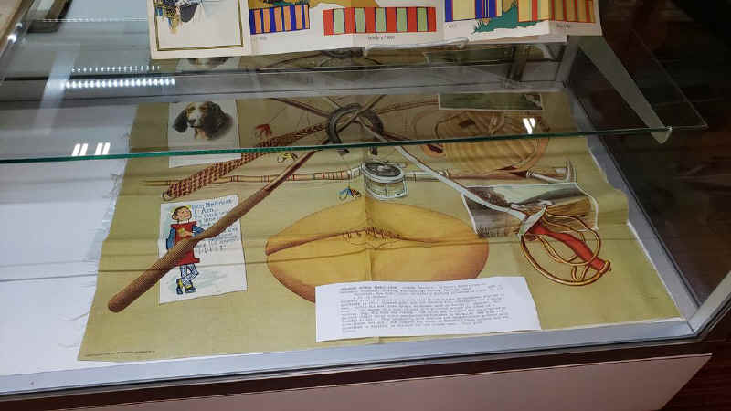 c1900 Sports Pillow Cover (1).jpg (105832 bytes)