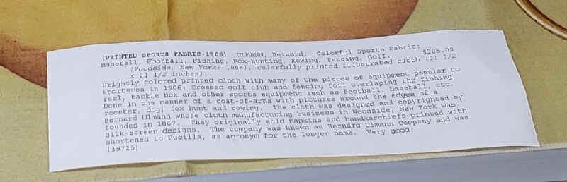 c1900 Sports Pillow Cover (2).JPG (56590 bytes)