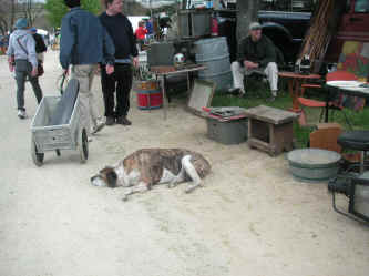 PICT0306_1200x900.jpg (205207 bytes)