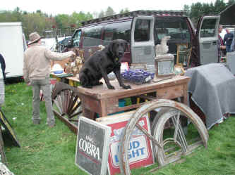 PICT0326_1200x900.jpg (257173 bytes)