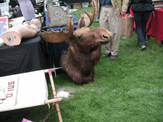 PICT0394_1200x900.jpg (220656 bytes)