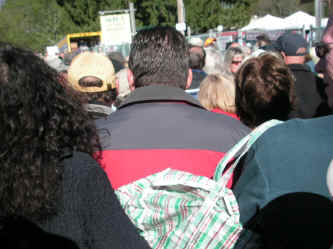 PICT0895_1200x900.jpg (190396 bytes)