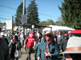 PICT0910_1200x900.jpg (191498 bytes)