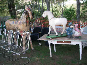 PICT1102_1200x900.jpg (287859 bytes)