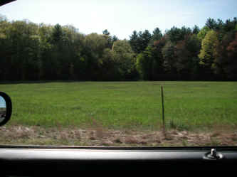 PICT1136_1200x900.jpg (184355 bytes)